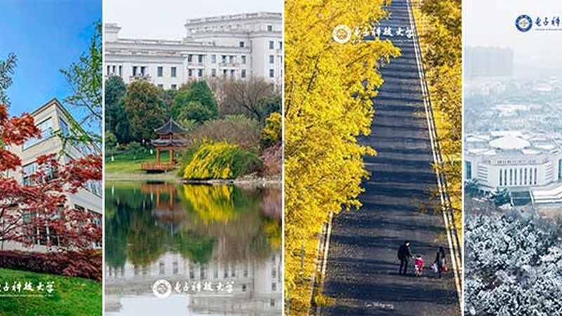 SMT贴片加工：揭秘靠谱深圳工厂的选择要点