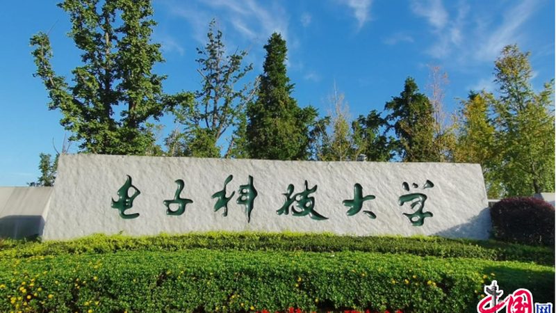 上海半导体产业链企业排名：揭秘行业实力与趋势