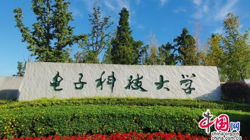 深圳电子产品出口欧洲，代理公司选择指南