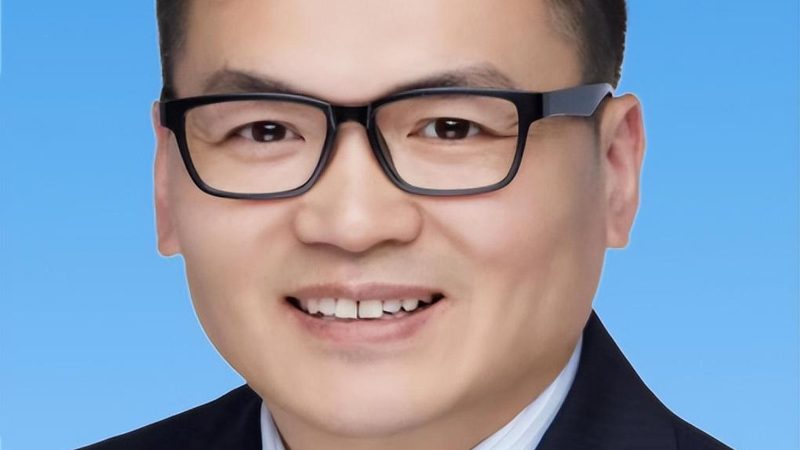 国产电子模块性能参数：揭秘关键指标与选型逻辑